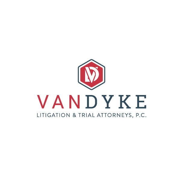 vd litigation logo design