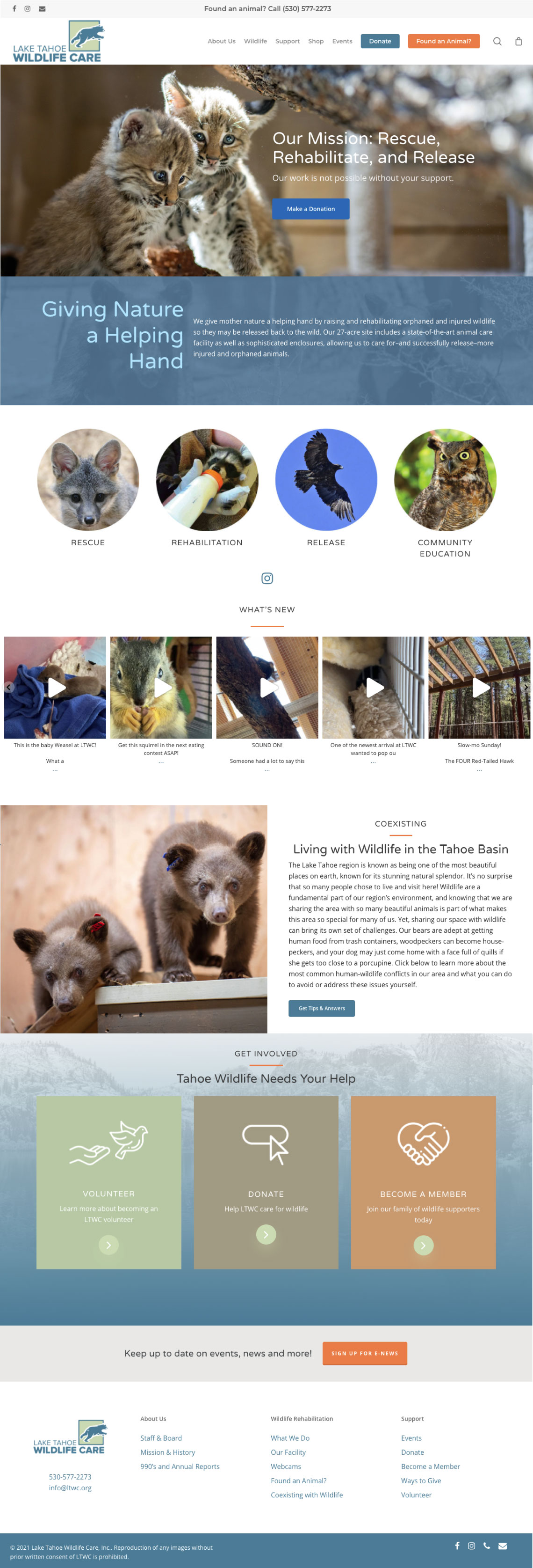 lake tahoe wildlife care website design